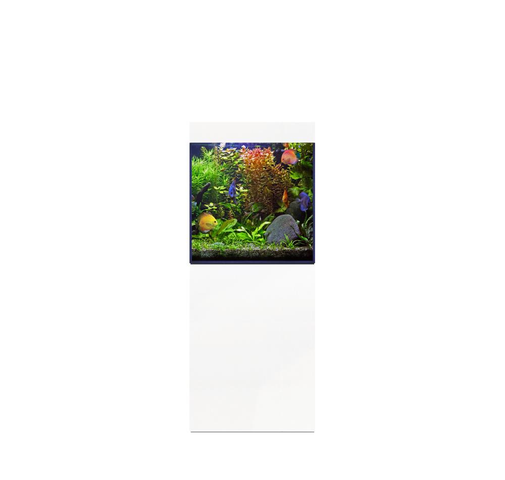 D-D Aqua-Pro Freshwater 600- WHITE GLOSS 