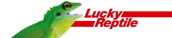 Lucky Reptile Metalldampflampen