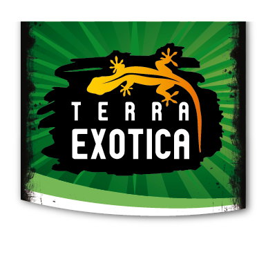 Terra Exotica Sphagnum Moos