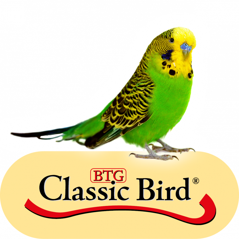 Classic Bird