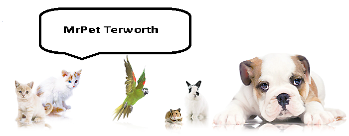 MrPet Terworth Heimtiershop-Logo
