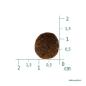 Preview: Christopherus Getreidefrei Forelle & Insekt 12kg