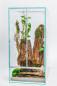 Preview: diversa Hochterrarium mit Schiebetüren 45x45x90cm - 182 Liter