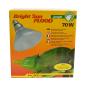 Preview: Lucky Reptile Bright Sun FLOOD Jungle - 70 W