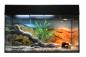 Preview: Lucky Reptile Starter Kit Bartagame Farbe Schwarz