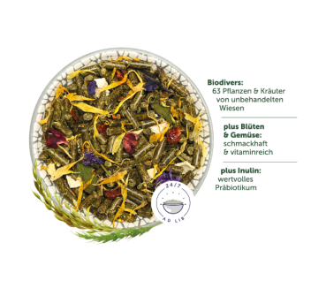 Bunny DeguTraum Basic 1,2 kg