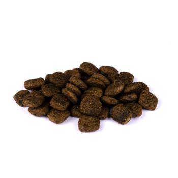 Christopherus Getreidefrei Senior Ente & Kartoffel 4 kg
