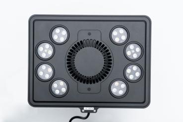 Maxspect Jump MJ-L260 Blue LED
