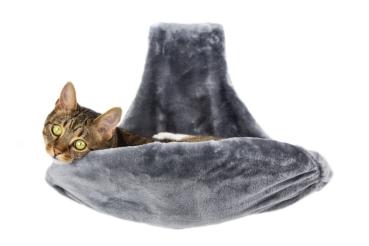 Nobby Katzenliege Paradies grau