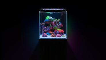 Aquaforest Nano Tank EU