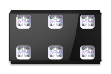GHL Mitras LX 7X06 Süßwasser Schwarz