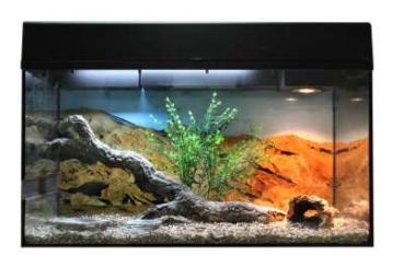 Lucky Reptile Starter Kit Bartagame Farbe Schwarz