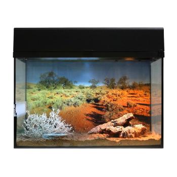 Lucky Reptile Starter Kit Wüstengecko Farbe Schwarz
