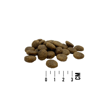 MACs Dog Mono Frisches Rind 3 kg