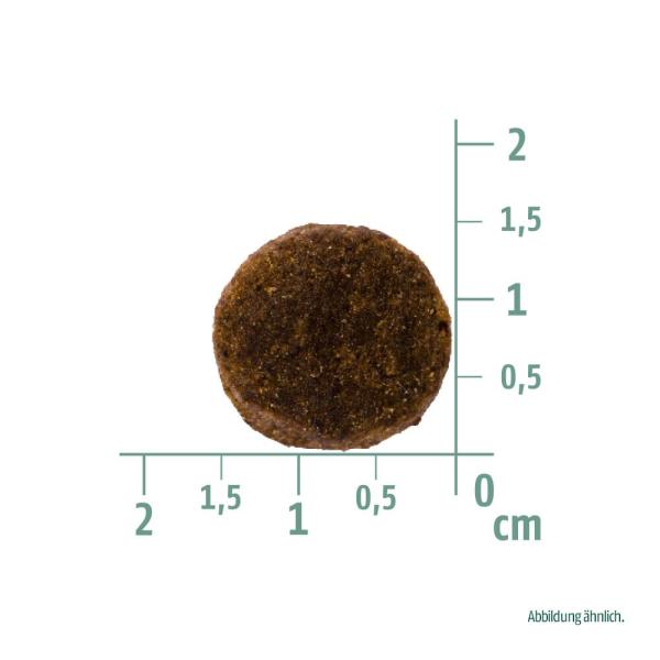 Christopherus Getreidefrei Leichte Kost Lamm & Kartoffel 12kg