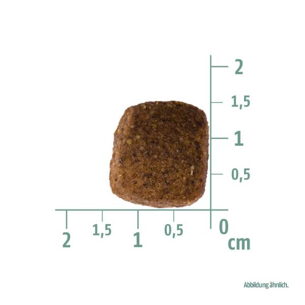 Christopherus Älterer Hund Geflügel, Lamm & Reis 4kg