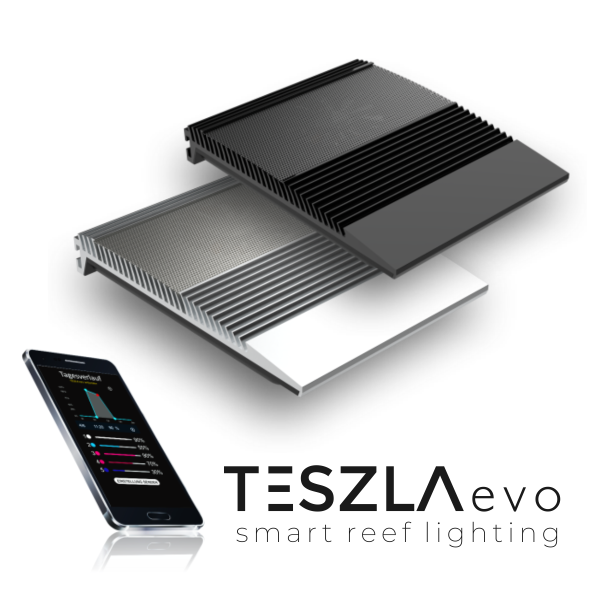 GIESEMANN TESZLA evo tropic - 90 Watt - schwarz