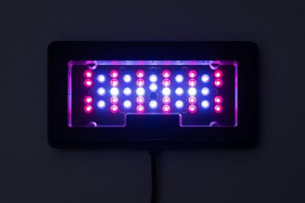 Maxspect Jump 30W LED Leuchte - Refugium