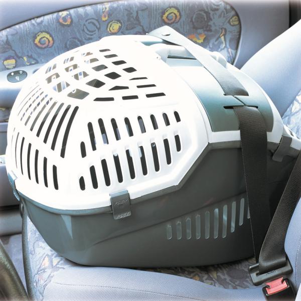 Nobby Transportbox "Avior"