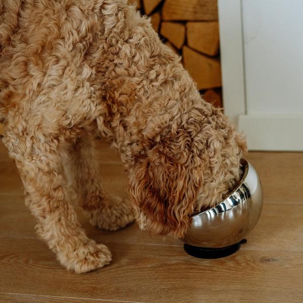 Nobby Edelstahlnapf Golyo für Hunde