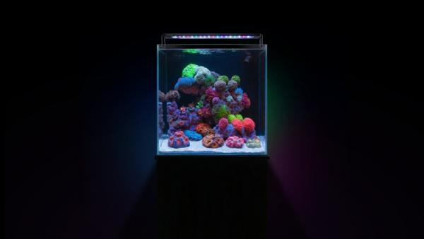 Aquaforest Nano Tank EU