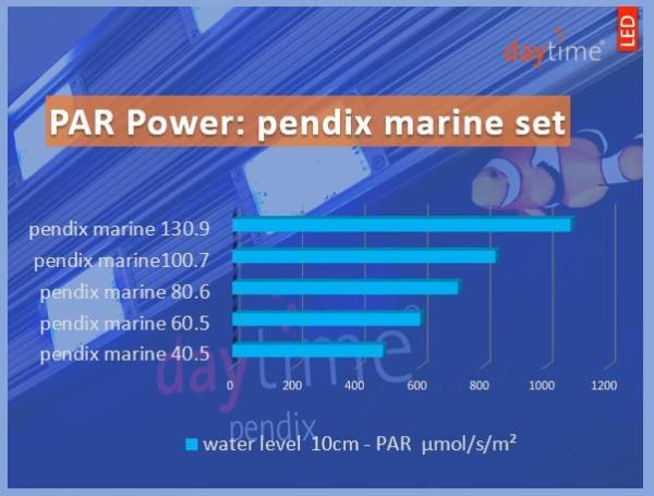 daytime pendix100.7  Marine Komplett-Set
