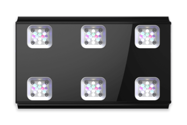 GHL Mitras LX 7X06 Süßwasser Schwarz