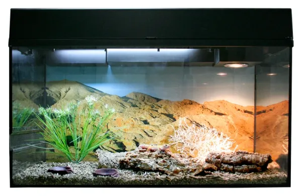 Lucky Reptile Starter Kit Leopardgecko Farbe Schwarz
