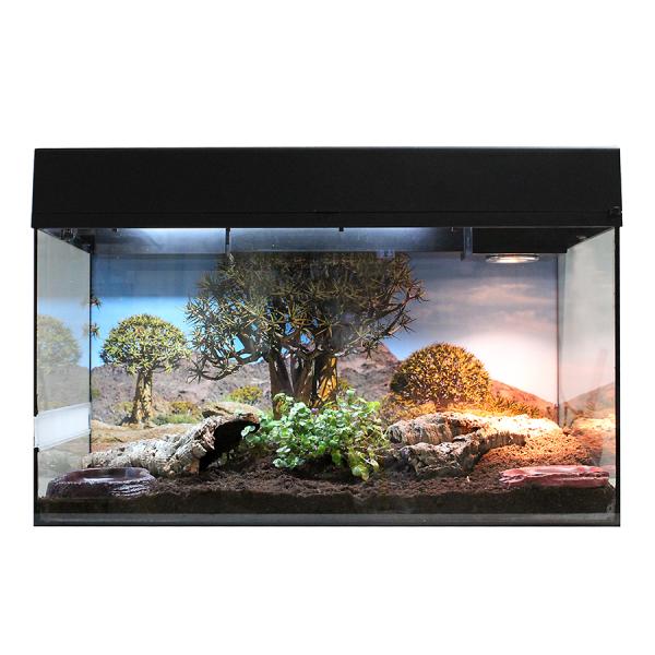 Lucky Reptile Starter Kit Landschildkröte Farbe Schwarz