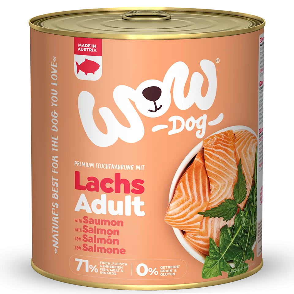Wow Dog Adult | Mit Lachs 6x800g Dosen