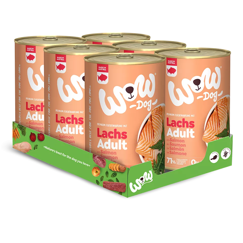 Wow Dog Adult | Mit Lachs 6x400g Dosen