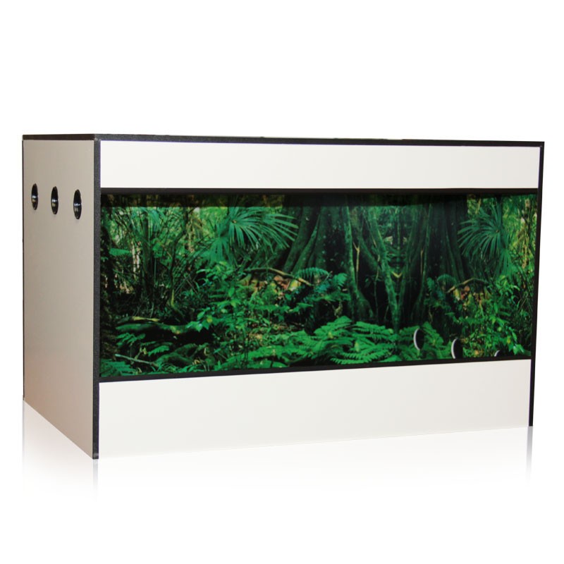 Terra Exotica TerraHome Classic "Regenwald"