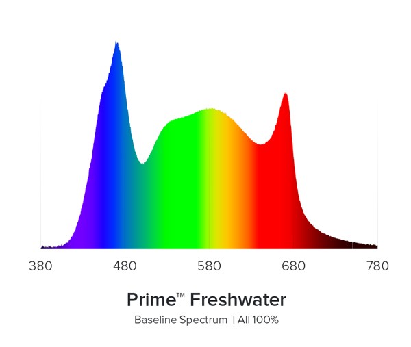 AI Prime 16HD Freshwater weiß im Set mit den Montagesystemen