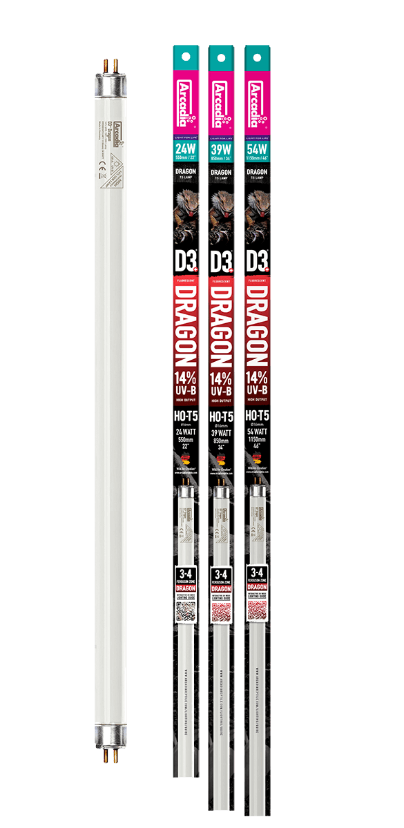 Arcadia T5 D3+ Dragon 14% UVB Lamp 24 W