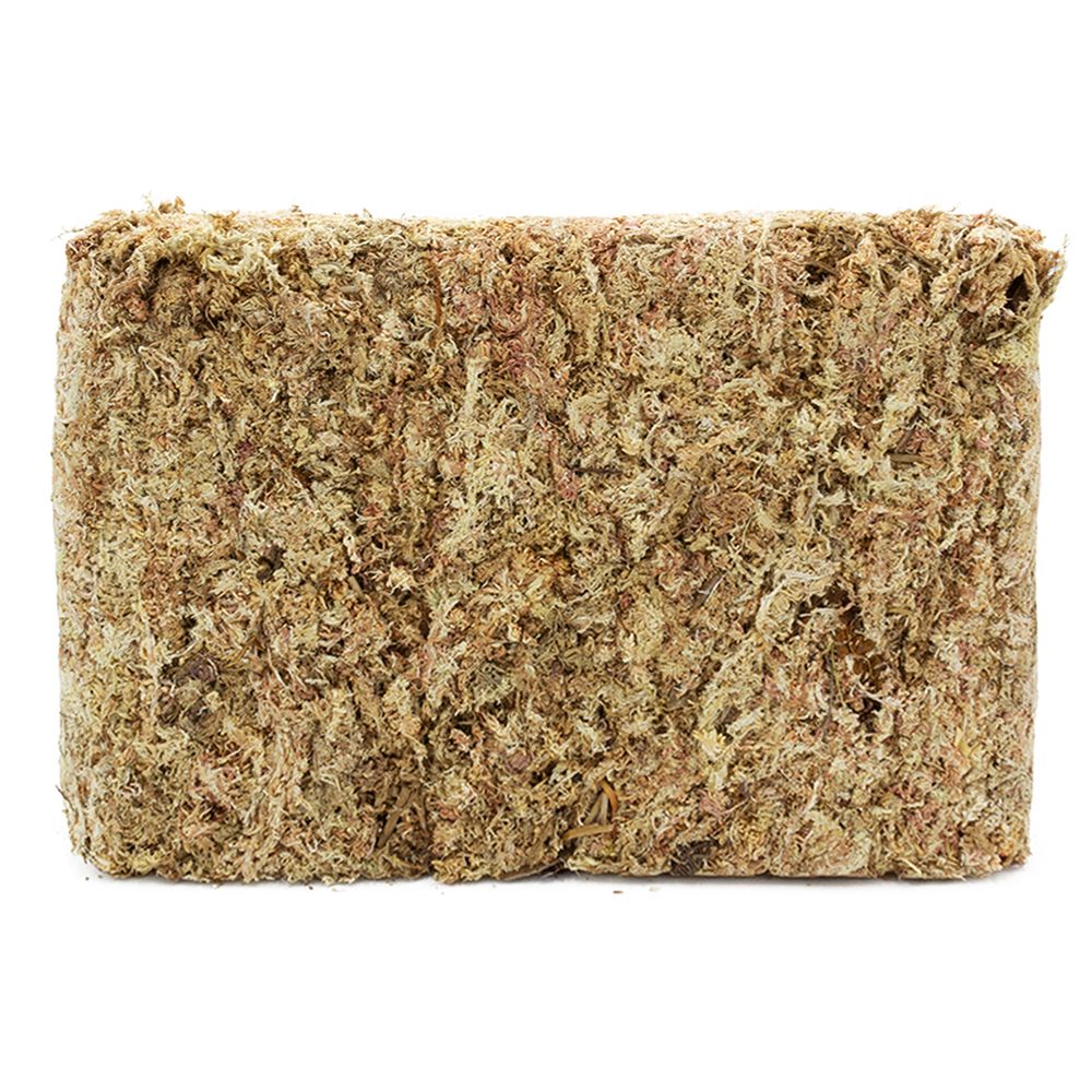 Terra Exotica Sphagnum Moos - ca. 500g